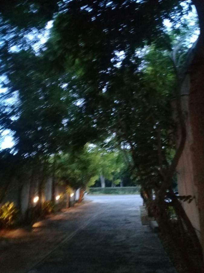 Hotel 41 Valladolid Εξωτερικό φωτογραφία